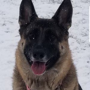 Meet your Posher, Beth